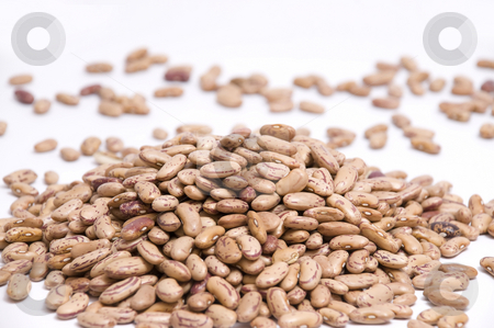To use this stock image in your creative project, please select the size you need over to the right and click the "Add to Cart" button.
Your downloaded image will come with the Cutcaster watermark removed so don’t worry about the watermark you see on this page. Heap of pinto beans stock photo, Macro on a big heap of pinto beans by Olivia Neacsu
