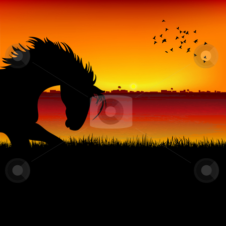 To use this stock image in your creative project, please select the size you need over to the right and click the "Add to Cart" button.
Your downloaded image will come with the Cutcaster watermark removed so don’t worry about the watermark you see on this page. Silhouette view of a horse, sunset background stock photo, Silhouette view of a horse, sunset background by Abhishek Poddar