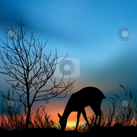 Silhouette view of a deer eating grass Silhouette view of a deer eating grass stock photo, Silhouette view of a deer eating grass by Abhishek Poddar