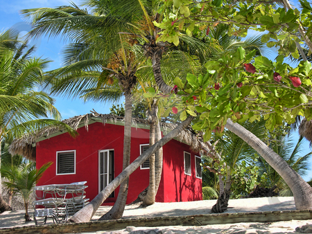 To use this stock image in your creative project, please select the size you need over to the right and click the "Add to Cart" button.
Your downloaded image will come with the Cutcaster watermark removed so don’t worry about the watermark you see on this page. Small and Coloured Homes on the Coast of Santo Domingo stock photo, Small and Coloured Homes on the Coast of Santo Domingo, Dominican Republic by Giovanni Gagliardi