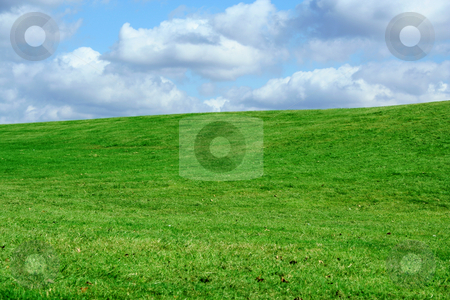 To use this stock image in your creative project, please select the size you need over to the right and click the "Add to Cart" button.
Your downloaded image will come with the Cutcaster watermark removed so don’t worry about the watermark you see on this page. Field and cloudy sky stock photo, A Green Field and cloudy blue sky by Jim Mills