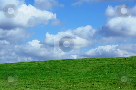 To use this stock image in your creative project, please select the size you need over to the right and click the "Add to Cart" button.
Your downloaded image will come with the Cutcaster watermark removed so don’t worry about the watermark you see on this page. Field and cloudy sky stock photo, A Green Field and cloudy blue sky by Jim Mills