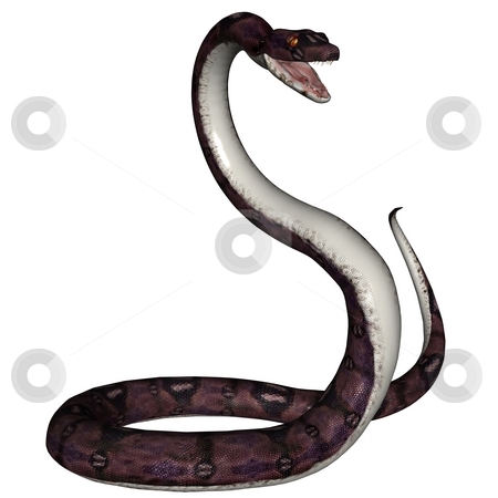 Snake Snake stock photo, 3D rendered snake on white background isloated by Patrik Ruzic