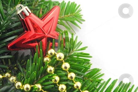 To use this stock image in your creative project, please select the size you need over to the right and click the "Add to Cart" button.
Your downloaded image will come with the Cutcaster watermark removed so don’t worry about the watermark you see on this page. Green fir for christmas stock photo, Green fir for christmas with blank and empty copyspace by Gunnar Pippel
