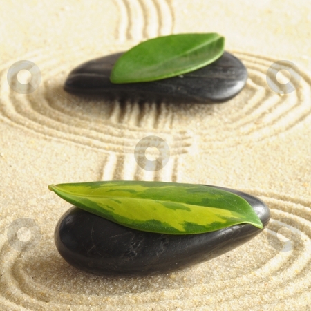 To use this stock image in your creative project, please select the size you need over to the right and click the "Add to Cart" button.
Your downloaded image will come with the Cutcaster watermark removed so don’t worry about the watermark you see on this page. Zen harmoney stock photo, Harmony concept with zen stones and leaves by Gunnar Pippel