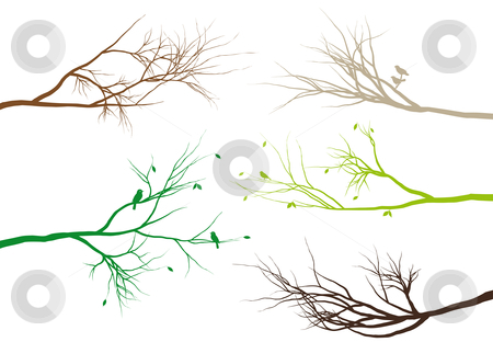 clip art tree branches. clip art tree branch.