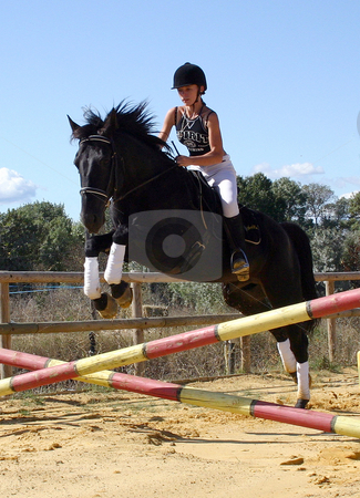 riding girl riding girl stock photo, Young woman and her black stallion in a training of competition by Bonzami Emmanuelle