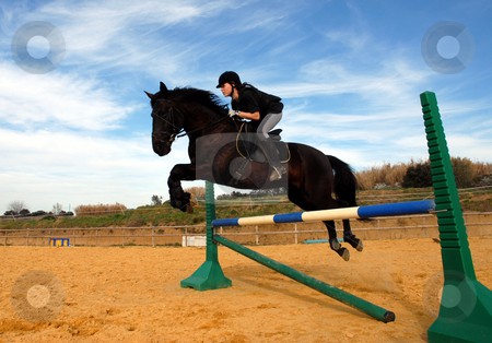 To use this stock image in your creative project, please select the size you need over to the right and click the "Add to Cart" button.
Your downloaded image will come with the Cutcaster watermark removed so don’t worry about the watermark you see on this page. riding girl stock photo, Young woman and her black stallion in a training of competition by Bonzami Emmanuelle