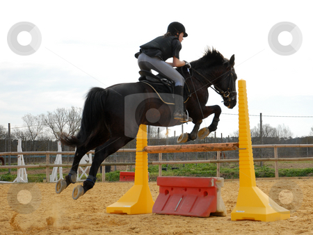 To use this stock image in your creative project, please select the size you need over to the right and click the "Add to Cart" button.
Your downloaded image will come with the Cutcaster watermark removed so don’t worry about the watermark you see on this page. riding girl stock photo, Young woman and her black stallion in a training of competition by Bonzami Emmanuelle