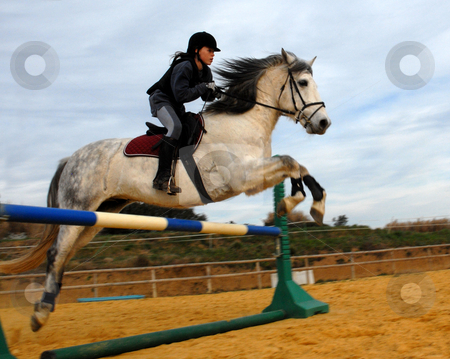 To use this stock image in your creative project, please select the size you need over to the right and click the "Add to Cart" button.
Your downloaded image will come with the Cutcaster watermark removed so don’t worry about the watermark you see on this page. riding girl stock photo, Young woman and her black stallion in a training of competition by Bonzami Emmanuelle
