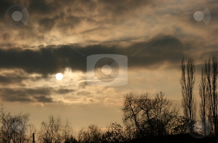 To use this stock image in your creative project, please select the size you need over to the right and click the "Add to Cart" button.
Your downloaded image will come with the Cutcaster watermark removed so don’t worry about the watermark you see on this page. Sunset stock photo, Sunset, with clouds and silhouttes of trees by P?