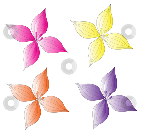 Flower Flower stock photo, Four color flower on the white background by Su Li