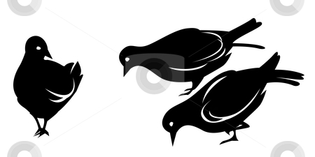 Pigeon Pigeon stock photo, Drawing of black pigeon in a white background by Su Li