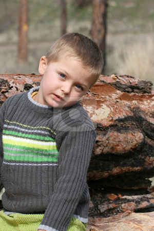Little boy Little boy stock photo, Little blond boy sitting on a tree trunk in the woods by Vanessa Van Rensburg