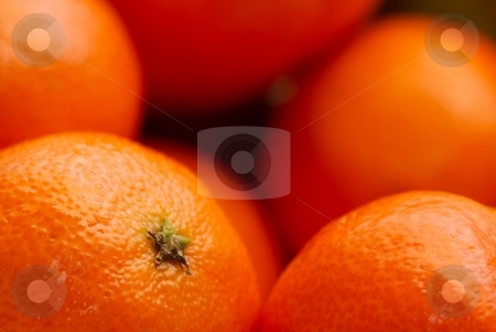To use this stock image in your creative project, please select the size you need over to the right and click the "Add to Cart" button.
Your downloaded image will come with the Cutcaster watermark removed so don’t worry about the watermark you see on this page. Tangerine stock photo, Tangerines by P?