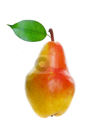 To use this stock image in your creative project, please select the size you need over to the right and click the "Add to Cart" button.
Your downloaded image will come with the Cutcaster watermark removed so don’t worry about the watermark you see on this page. Pear stock photo, A juicy ripe pear on white background by Steve Mcsweeny