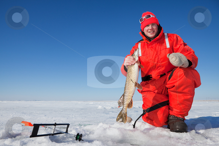 To use this stock image in your creative project, please select the size you need over to the right and click the "Add to Cart" button.
Your downloaded image will come with the Cutcaster watermark removed so don’t worry about the watermark you see on this page. Fishermans catch stock photo, Happy ice fisherman holding a northern pike caught on a tip up by Steve Mcsweeny