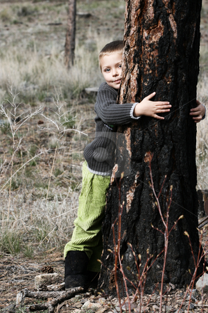 To use this stock image in your creative project, please select the size you need over to the right and click the "Add to Cart" button.
Your downloaded image will come with the Cutcaster watermark removed so don’t worry about the watermark you see on this page. Nature boy stock photo, Little boy hugging a big tree in the woods by Vanessa Van Rensburg