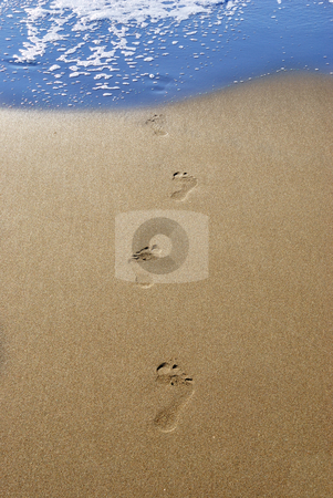 To use this stock image in your creative project, please select the size you need over to the right and click the "Add to Cart" button.
Your downloaded image will come with the Cutcaster watermark removed so don’t worry about the watermark you see on this page. Footprints in sand stock photo, Footprints in send on a beach leading into water. by Ivan Paunovic