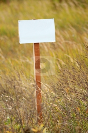 To use this stock image in your creative project, please select the size you need over to the right and click the "Add to Cart" button.
Your downloaded image will come with the Cutcaster watermark removed so don’t worry about the watermark you see on this page. Sign stock photo, Blank sign board on a field by P?