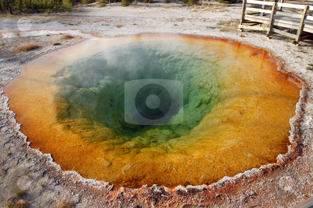 To use this stock image in your creative project, please select the size you need over to the right and click the "Add to Cart" button.
Your downloaded image will come with the Cutcaster watermark removed so don’t worry about the watermark you see on this page. Morning Glory stock photo, Morning Glory geyser in Yellowstone National Park by Tawann Simmons