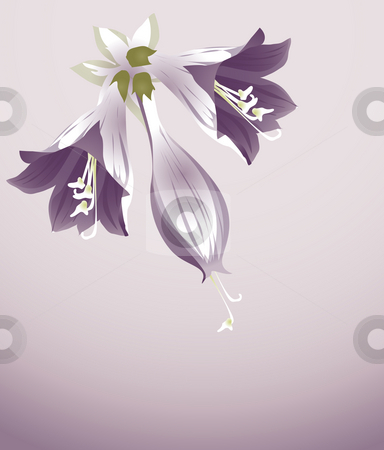 To use this stock image in your creative project, please select the size you need over to the right and click the "Add to Cart" button.
Your downloaded image will come with the Cutcaster watermark removed so don’t worry about the watermark you see on this page. Purple flower stock photo, Three purple orchid on the purple background by Su Li