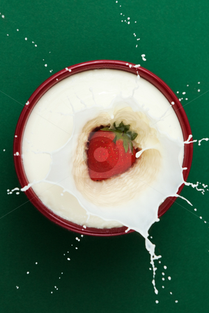 To use this stock image in your creative project, please select the size you need over to the right and click the "Add to Cart" button.
Your downloaded image will come with the Cutcaster watermark removed so don’t worry about the watermark you see on this page. Strawberry Milk stock photo, Strawberry dropped into bowl of milk, creating a splash sculpture by Viv Van der Holst