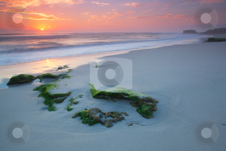 To use this stock image in your creative project, please select the size you need over to the right and click the "Add to Cart" button.
Your downloaded image will come with the Cutcaster watermark removed so don’t worry about the watermark you see on this page. Moss Sunset stock photo, Image of a Sunset on a beach in the Western Cape South Afrcia by Kobus Tollig
