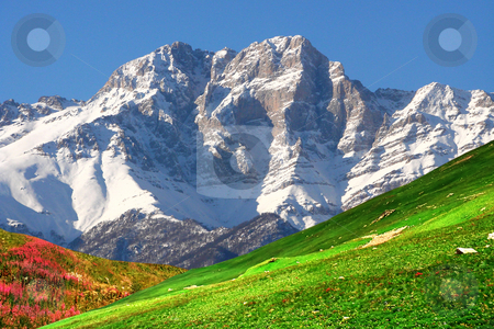 Summer in Dombai. Summer in Dombai. stock photo, Summer in Dombai,Northern Caucasus,Russia. by Mikhail Pogosov