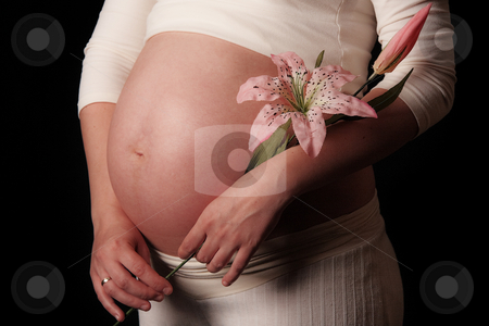 To use this stock image in your creative project, please select the size you need over to the right and click the "Add to Cart" button.
Your downloaded image will come with the Cutcaster watermark removed so don’t worry about the watermark you see on this page. Pregnant mother stock photo, Pregnant mother holding belly exposing the bump by Viv Van der Holst