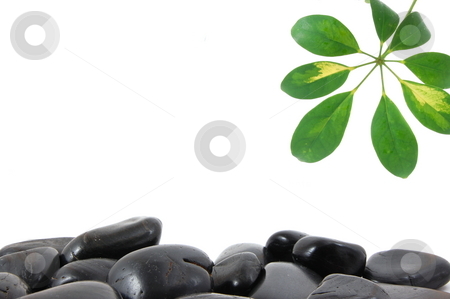 Stones and leaf Stones and leaf stock photo, Stones and leaves with copy space for text message by Gunnar Pippel