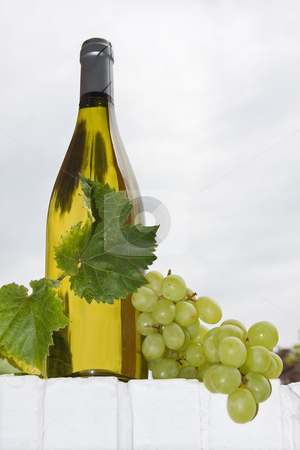 To use this stock image in your creative project, please select the size you need over to the right and click the "Add to Cart" button.
Your downloaded image will come with the Cutcaster watermark removed so don’t worry about the watermark you see on this page. Wine and grapes stock photo, Bottle of white wine with grapes and vine leaves by Anneke