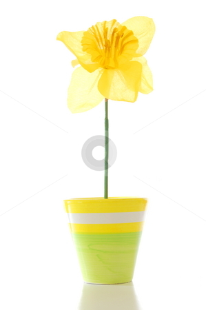 To use this stock image in your creative project, please select the size you need over to the right and click the "Add to Cart" button.
Your downloaded image will come with the Cutcaster watermark removed so don’t worry about the watermark you see on this page. Flower in pot stock photo, Beautyful summer flower in pot with copyspace by Gunnar Pippel
