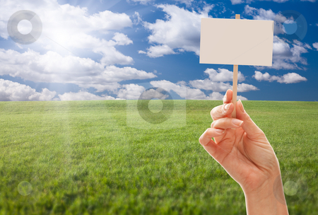 To use this stock image in your creative project, please select the size you need over to the right and click the "Add to Cart" button.
Your downloaded image will come with the Cutcaster watermark removed so don’t worry about the watermark you see on this page. Blank Sign in Hand Over Grass Field and Sky stock photo, Blank Sign in Female Fist Over Grass Field and Sky with Clouds. by Andy Dean