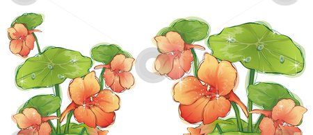Flower Flower stock photo, A red flower and lotus leaves with water beads in a white background by Su Li