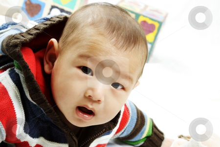 To use this stock image in your creative project, please select the size you need over to the right and click the "Add to Cart" button.
Your downloaded image will come with the Cutcaster watermark removed so don’t worry about the watermark you see on this page. Cute baby stock photo, A portrait of a cute baby boy by Suprijono Suharjoto