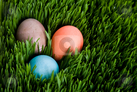 Easter egg Easter egg stock photo, A shot of an easter egg hidden in grass by Suprijono Suharjoto