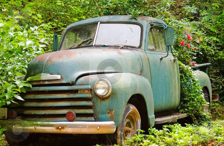 Vintage Truck in a Garden Vintage Truck in a Garden stock photo, This wonderful old truck is being used as a planter, roses are blooming in the bed. by Susan Leggett