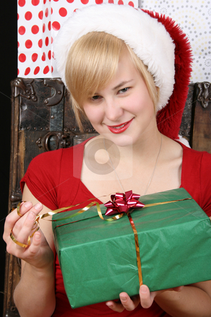 To use this stock image in your creative project, please select the size you need over to the right and click the "Add to Cart" button.
Your downloaded image will come with the Cutcaster watermark removed so don’t worry about the watermark you see on this page. Christmas Gifts stock photo, Beautiful blond female holding a christmas present by Vanessa Van Rensburg