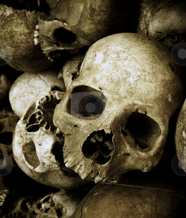 Skulls Skulls stock photo, Skulls in cambodia by Charles Taylor
