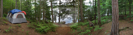 To use this stock image in your creative project, please select the size you need over to the right and click the "Add to Cart" button.
Your downloaded image will come with the Cutcaster watermark removed so don’t worry about the watermark you see on this page. Forest Tent Camping stock photo, A wide angle panoramic view of a heavily wooded camp site in the Adirondacks. by Todd Arena