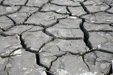 Dried water dam Dried water dam stock photo, Dried and cracked soil near dam in Brno, Czech republic by Tomas Hajek