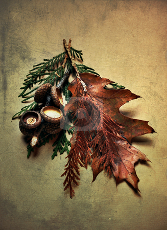 To use this stock image in your creative project, please select the size you need over to the right and click the "Add to Cart" button.
Your downloaded image will come with the Cutcaster watermark removed so don’t worry about the watermark you see on this page. Autumn stock photo, Light-painted still life with leaves and acorns on textured paper by HD Connelly