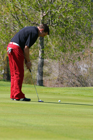 To use this stock image in your creative project, please select the size you need over to the right and click the "Add to Cart" button.
Your downloaded image will come with the Cutcaster watermark removed so don’t worry about the watermark you see on this page. Male golfer stock photo, Young male golfer executing a putt on the greens by Vanessa Van Rensburg