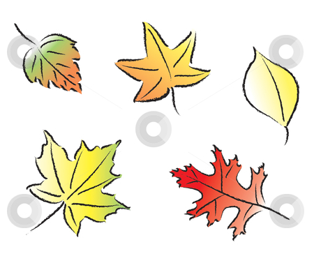 To use this stock image in your creative project, please select the size you need over to the right and click the "Add to Cart" button.
Your downloaded image will come with the Cutcaster watermark removed so don’t worry about the watermark you see on this page. Assorted Fall Leaves stock vector clipart, Various common fall leaves in fall colors. by Jamie Slavy