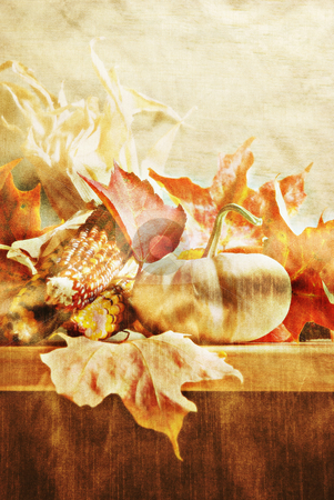 Autumn Autumn stock photo, Still life with pumpkin and corn (with texture overlay) by HD Connelly