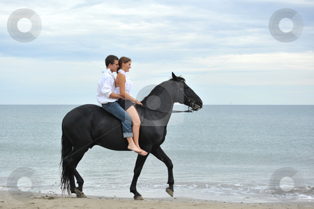 To use this stock image in your creative project, please select the size you need over to the right and click the "Add to Cart" button.
Your downloaded image will come with the Cutcaster watermark removed so don’t worry about the watermark you see on this page. Couple and horse on the beach stock photo, Beautiful black stallion on the beach with young couple by Bonzami Emmanuelle