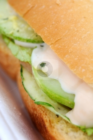 Macro of vegetarian burger Macro of vegetarian burger stock photo, Healthy vegetarian burger with salad. For concepts such as diet and nutrition, healthy eating and lifestyle, and food and beverage. by Wai Chung Tang