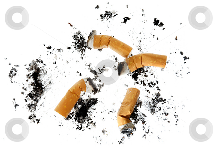 To use this stock image in your creative project, please select the size you need over to the right and click the "Add to Cart" button.
Your downloaded image will come with the Cutcaster watermark removed so don’t worry about the watermark you see on this page. Cigarette butts stock photo, Cigarette butts on white background by Stocksnapper