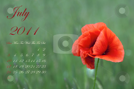 To use this stock image in your creative project, please select the size you need over to the right and click the "Add to Cart" button.
Your downloaded image will come with the Cutcaster watermark removed so don’t worry about the watermark you see on this page. July 2011 stock photo, Page of 2011 calendar for July, with red poppy over green by Fabio Alcini